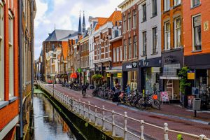 delft 14
